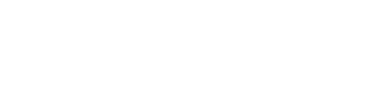 The Maximalist